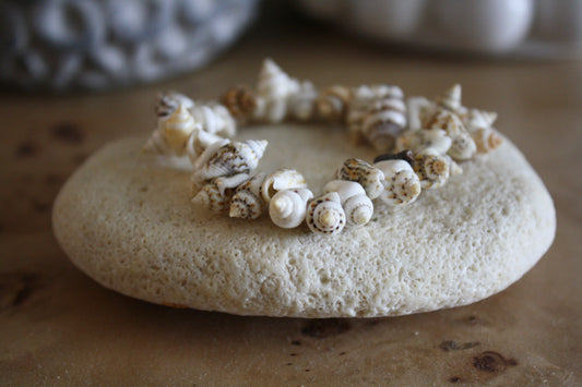 Coastal Shell Bracelet