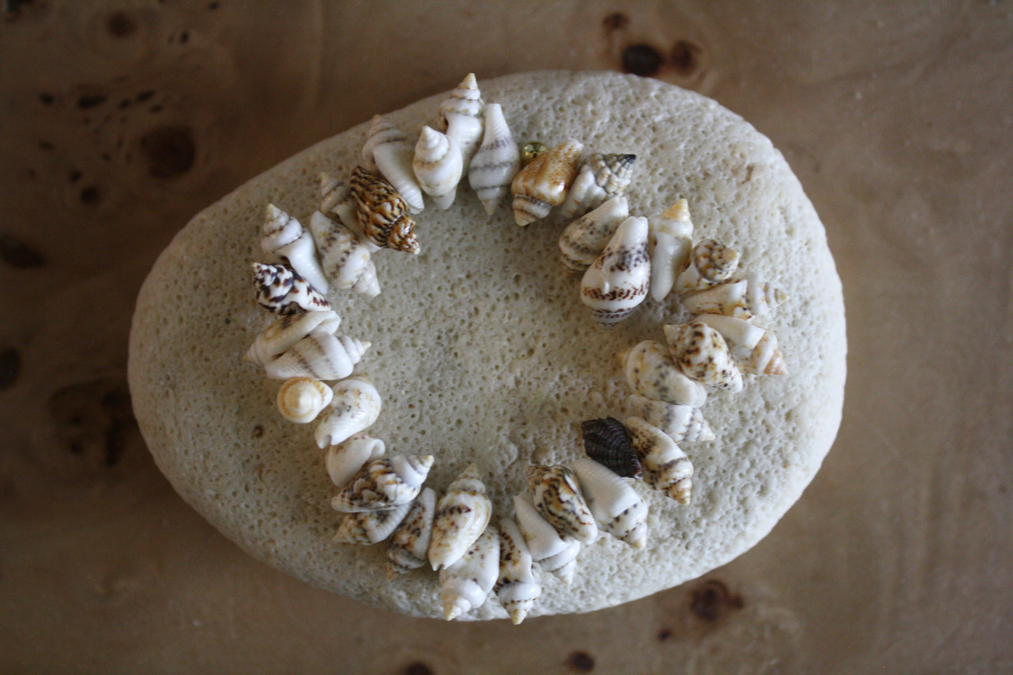 Coastal Shell Bracelet